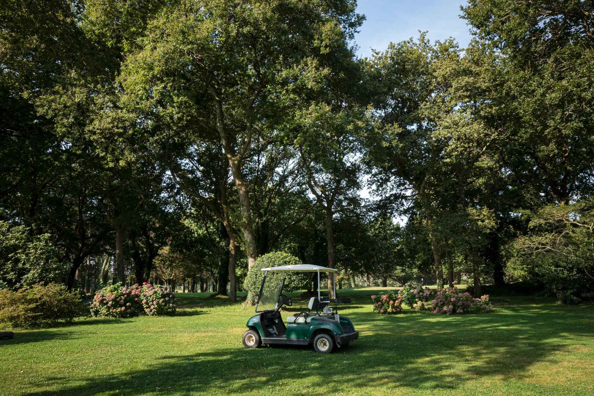 Grand jardin arboré LA BAULE