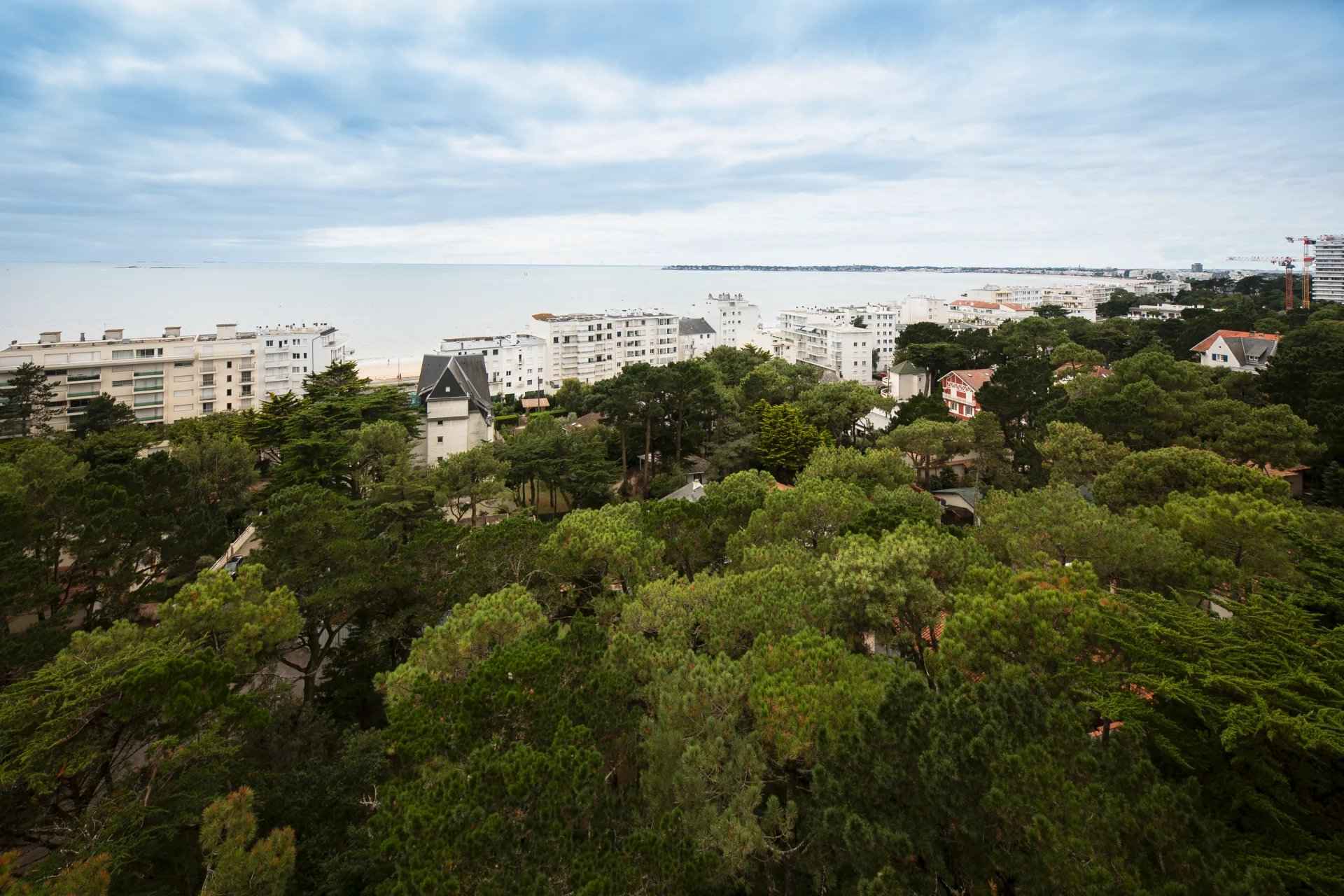 Appartement vue mer